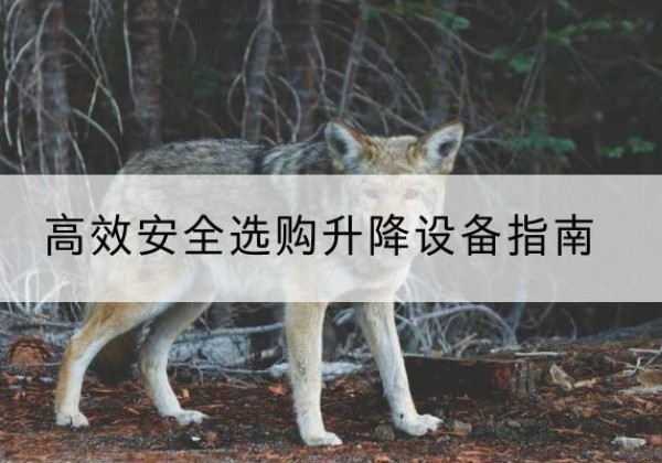 石拐升降货梯厂家推荐-*安全选购升降设备指南