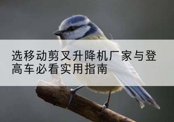 石拐电动升降机厂家-选移动剪叉升降机厂家与登高车必看实用指南